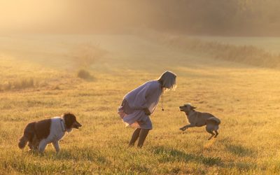 Die Aufbruchsstimmung des Frühlings