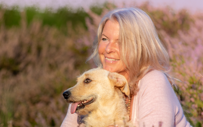 Transformation & Heilung