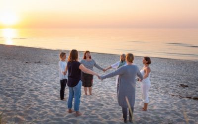 Natürliche Systemik 2/2