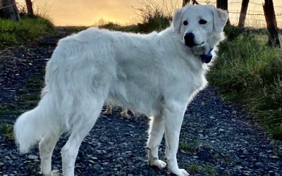 NURIA – und was sie mich über Grenzen lehrt…