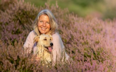 Tiere als Krisenhelfer und spirituelle Lehrer