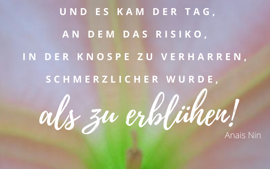 Ab jetzt wird alles anders!