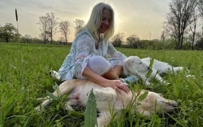 Was tun, wenn ihr angegriffen wurdet?