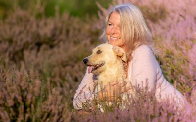 Weißt du ganz sicher, was dein Tier braucht? Teil 4