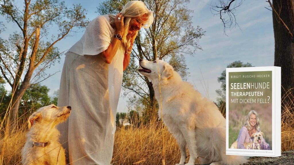 Willst Du Symptome unterdrücken oder lieber dekodieren? ❤️ My Heartland
