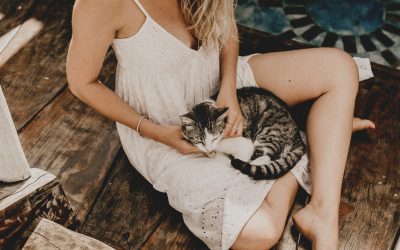 Schuldgefühle und Zerrissenheit auf dem letzten Weg 🤯