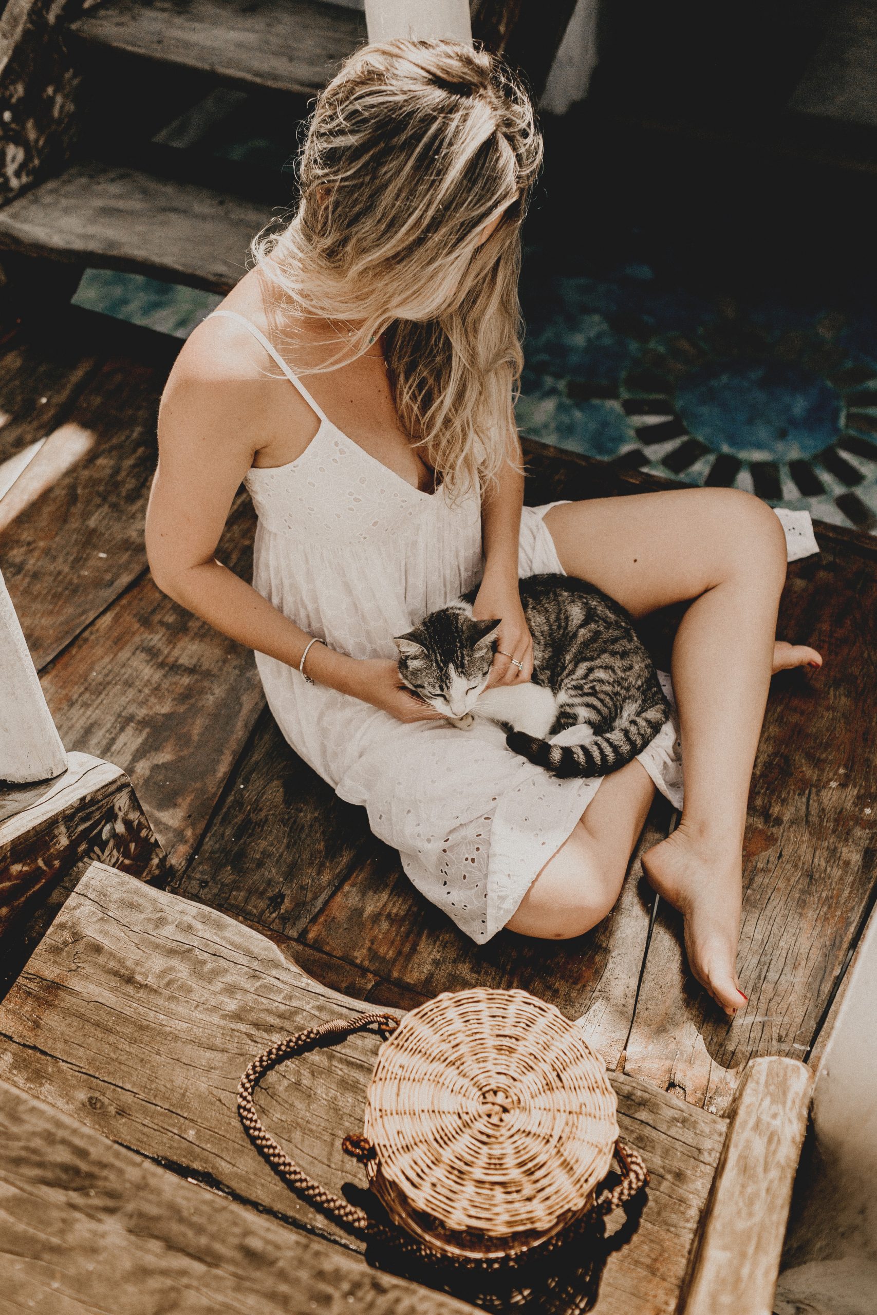 photo-of-woman-touching-cat-2878764