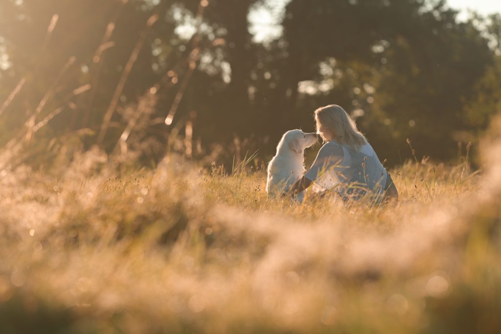 Der perfekte Tierhalter 🏅👩‍⚕️♥️ My Heartland