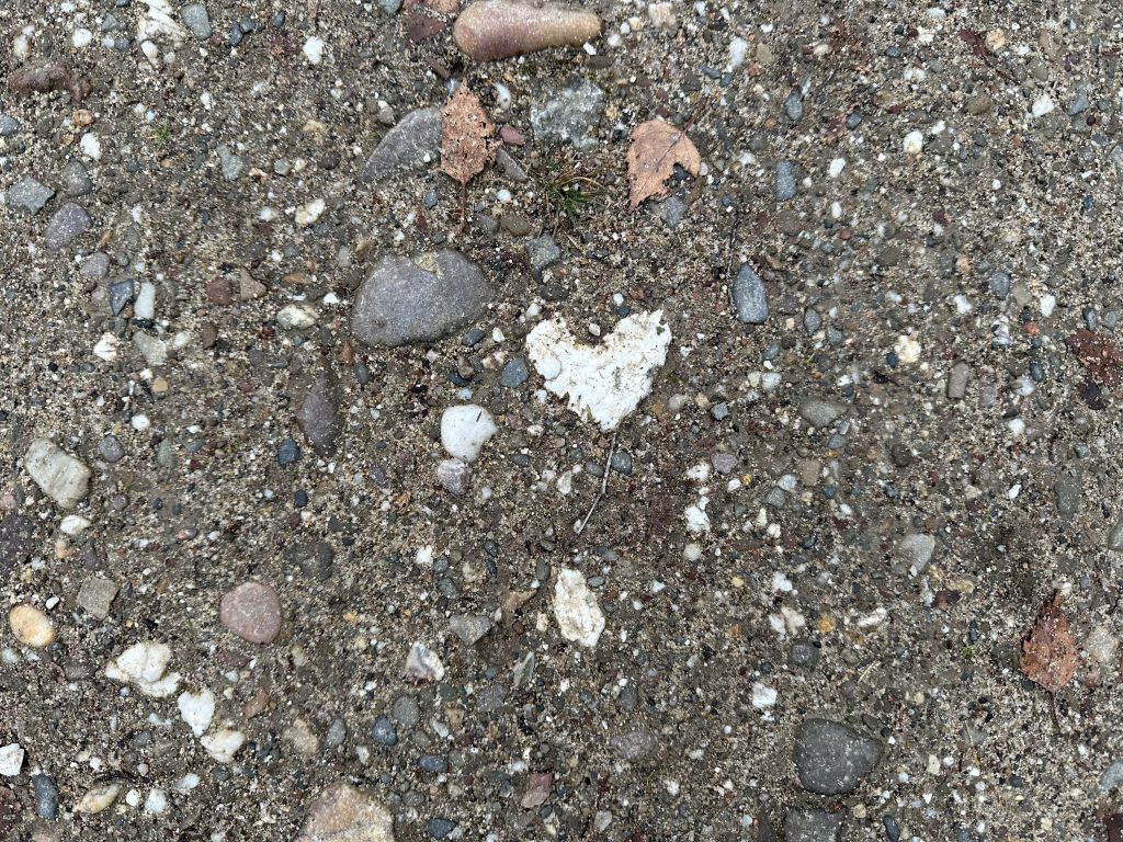 Wenn du nur noch ein Jahr zu leben hättest....🌈 My Heartland