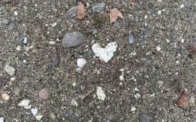 Wenn du nur noch ein Jahr zu leben hättest….🌈