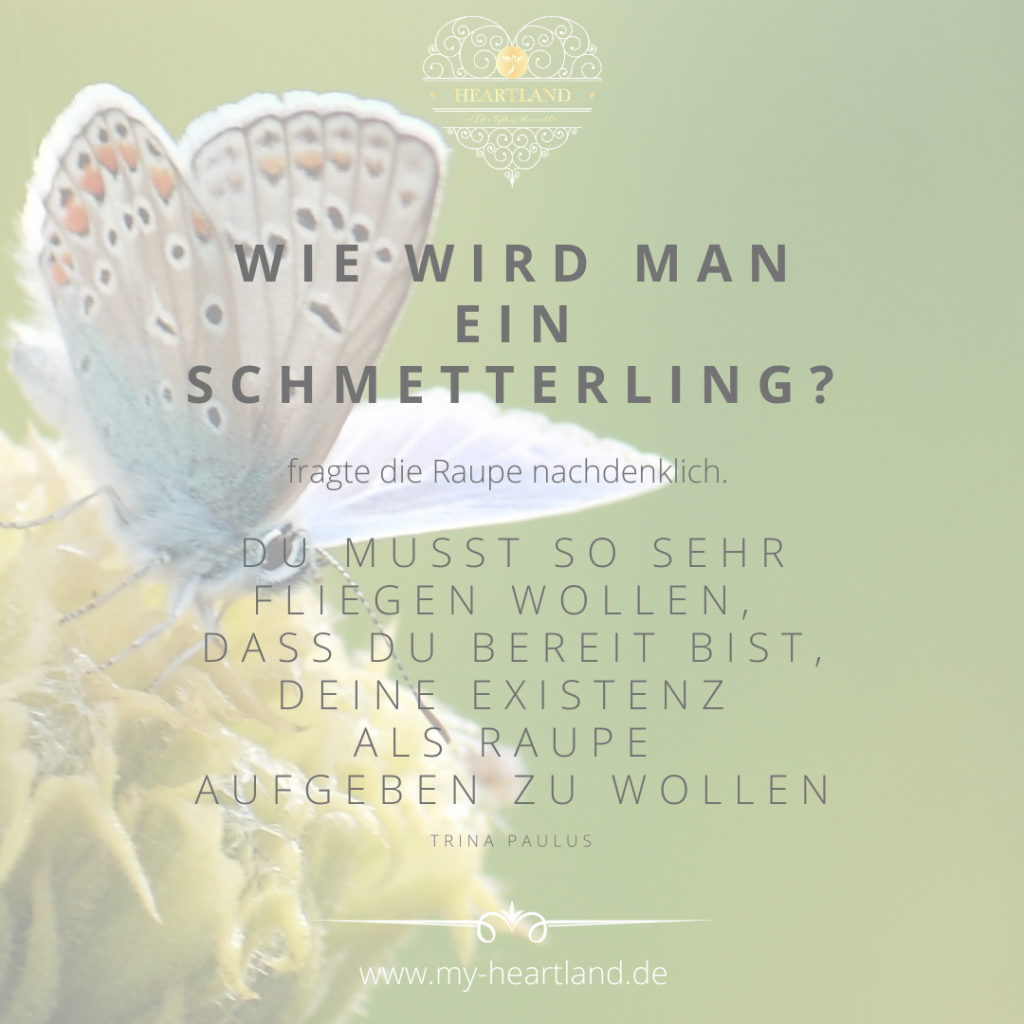 Was ich gerne früher gewusst hätte... ❤️ My Heartland